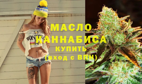 гидра Горняк