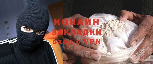 гидра Горняк