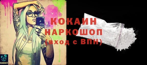 гидра Горняк
