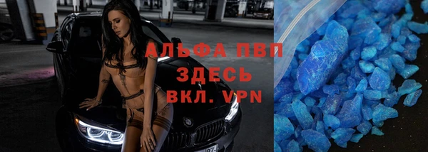 гидра Горняк