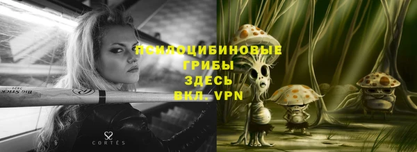 твердый Горно-Алтайск