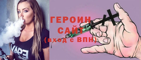 гидра Горняк
