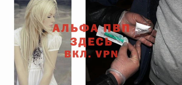 гидра Горняк