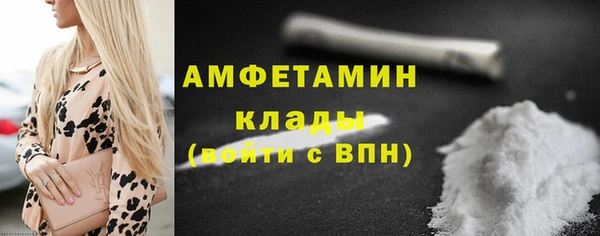 гидра Горняк