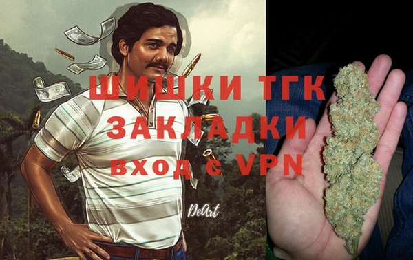 гидра Горняк