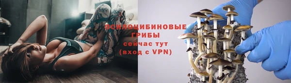 твердый Горно-Алтайск