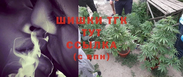 твердый Горно-Алтайск