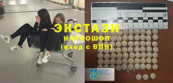 гидра Горняк