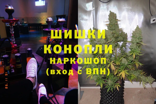 гидра Горняк