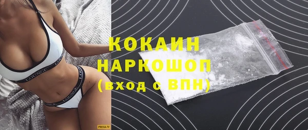 гидра Горняк