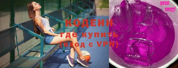 гидра Горняк