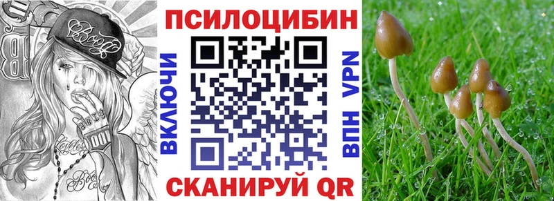 где найти наркотики  Печоры  Псилоцибиновые грибы прущие грибы 